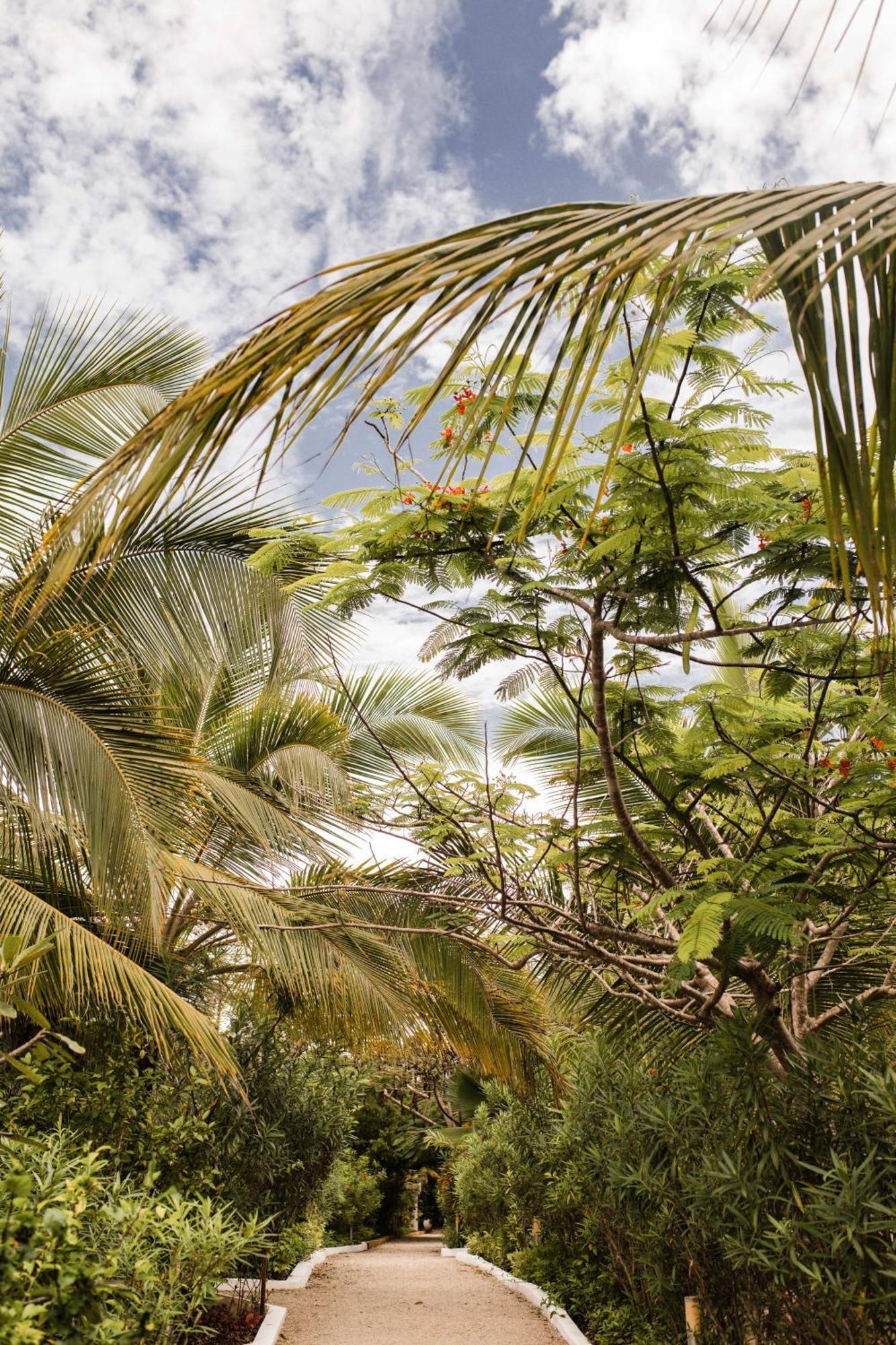 White Paradise Zanzibar Pongwe Dış mekan fotoğraf