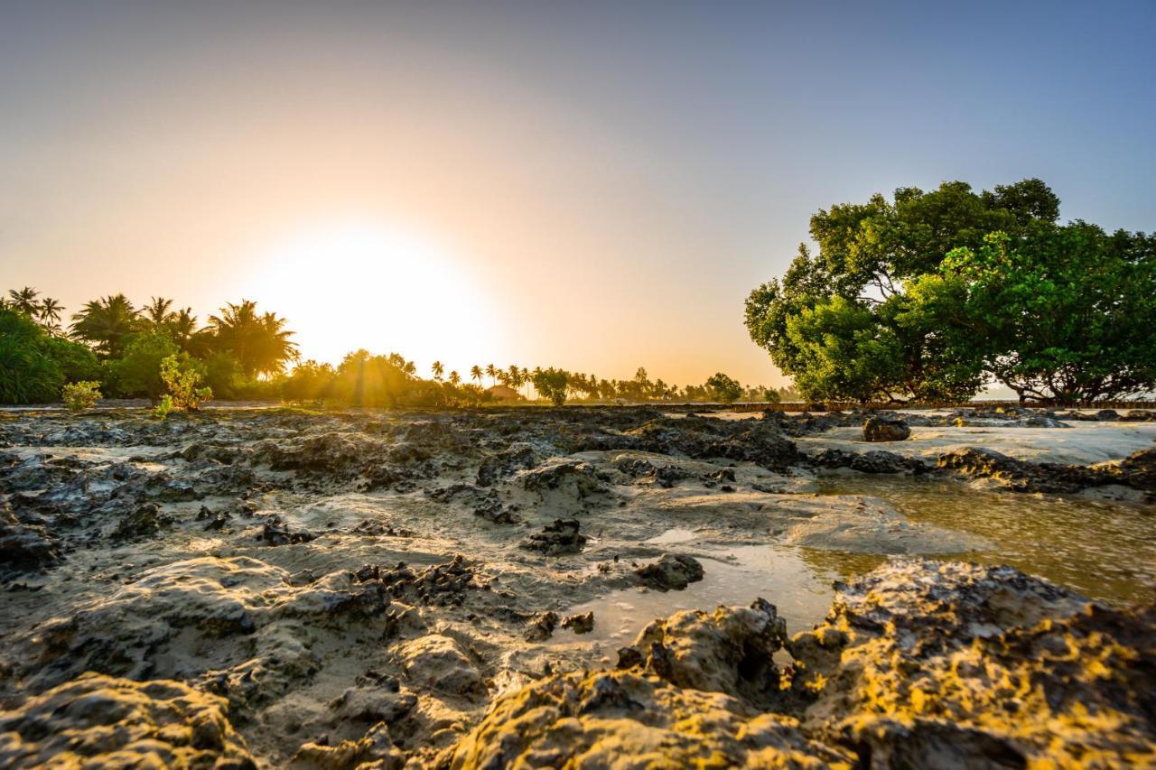 White Paradise Zanzibar Pongwe Dış mekan fotoğraf